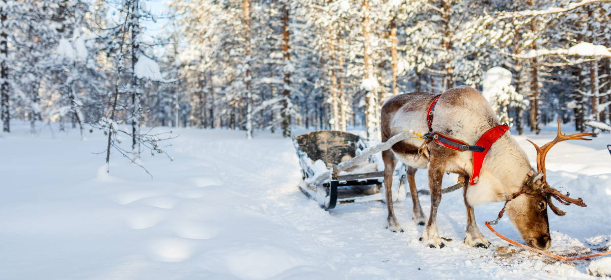 5 Holiday Marketing Mistakes