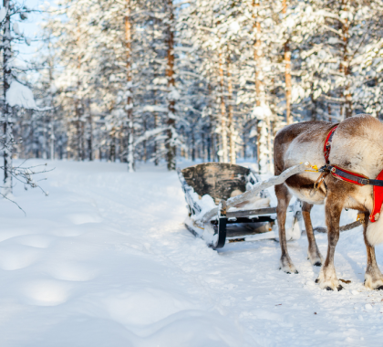 5 Holiday Marketing Mistakes to Avoid This Season